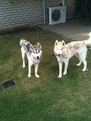 2 For the price of one