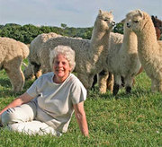 Cute Alcapas For Sale 