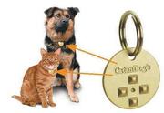 Pet Protector - the BEST flea and tick protection