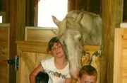 white male lessoned horse for re-homing