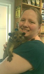 Kinkajous Babies $2000