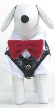 Dog Formal Dresses - Keep Your Pet Special Day Memorable