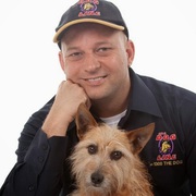 Choose the Best Dog Training Collars