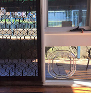 Sydney Paws Petdoor Offers the Dog-Friendly Screen Door for Dogs