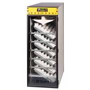 Egg Incubator For Sale in Australia - Top Knot Poultry Supplies