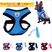 Dog Collars
