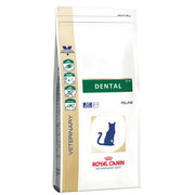 Buy Royal Canin Feline Dental Food S/O from vetsupply.com.au