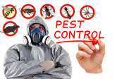 Flatline Pest Control - Pest Management in Central Coast