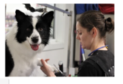 Pet Shop Burwood - Habitat Pet Supplies