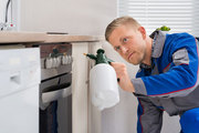 FLATLINE PEST CONTROL - central coast pest control