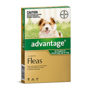 Buy Branded Advantage for Dogs and Cats online at Lowest Price |Flea C