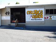 All Natural Dog Food Australia
