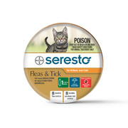 Buy Seresto Cat Collar Orange For Kittens And Cats