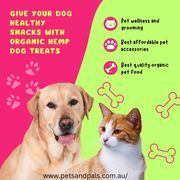  Give Your Dog Healthy Snacks with Organic Hemp Dog Treats