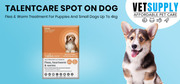 Buy Talentcare Spot On Dog Flea & Worm Treatment for Puppies and Small