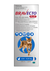 Buy Bravecto Plus for Medium Cats 2.8 – 6.25 kg (Blue) 1 Pack Online