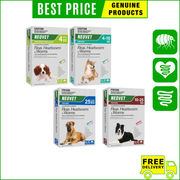 Neovet Flea & Worming for Dogs Christmas Sale 2023