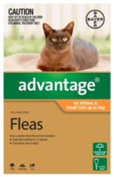 Christmas deals:Advantage: Dog & Cat Flea Control online 