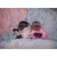 Baby Capuchin Monkey For Sale